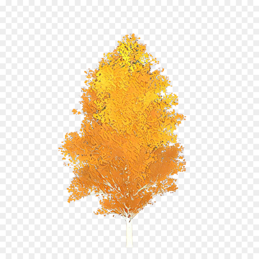 Laranja，Amarelo PNG