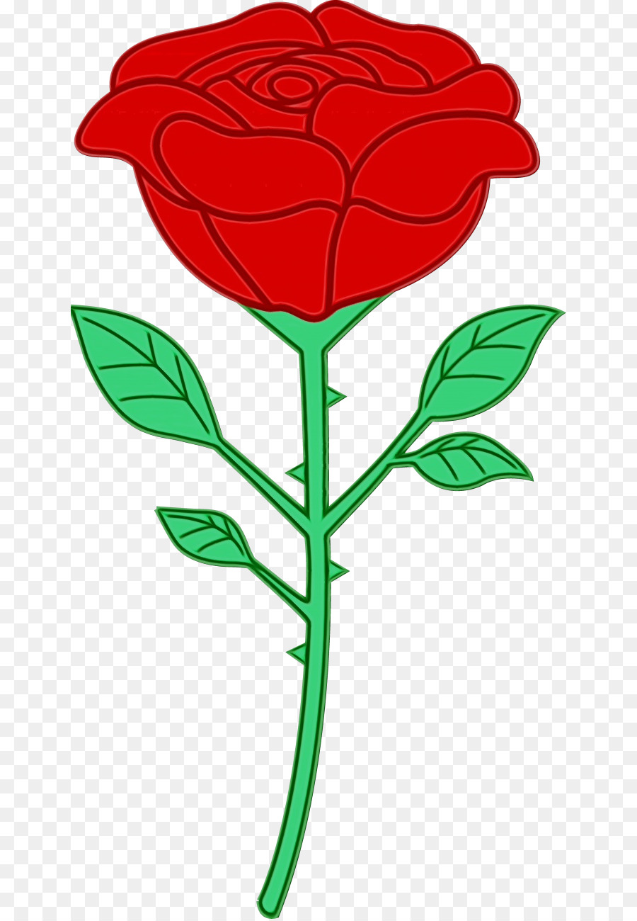 Rosa，Vermelho PNG