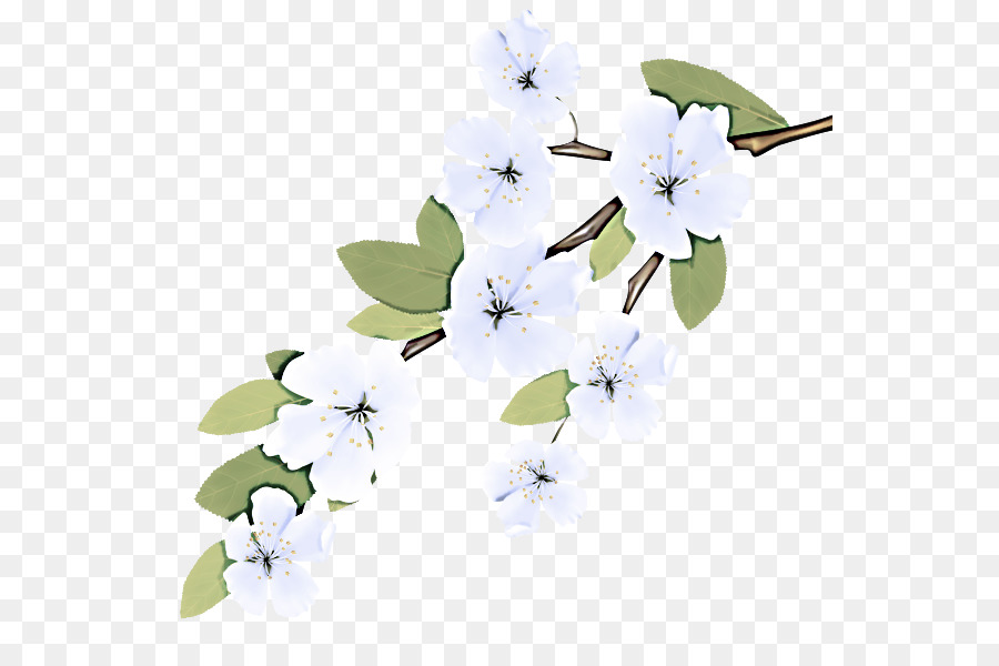 Ramo De Flor，Florescer PNG