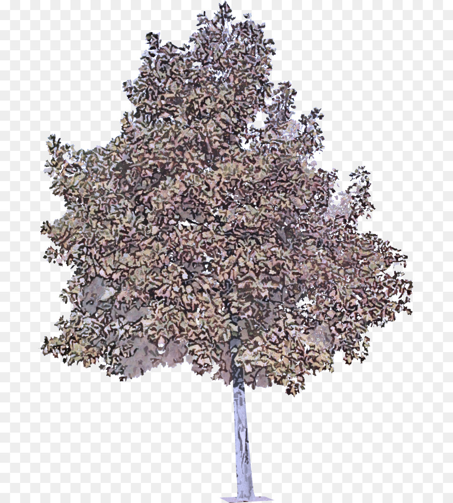 árvore，Planta Lenha PNG