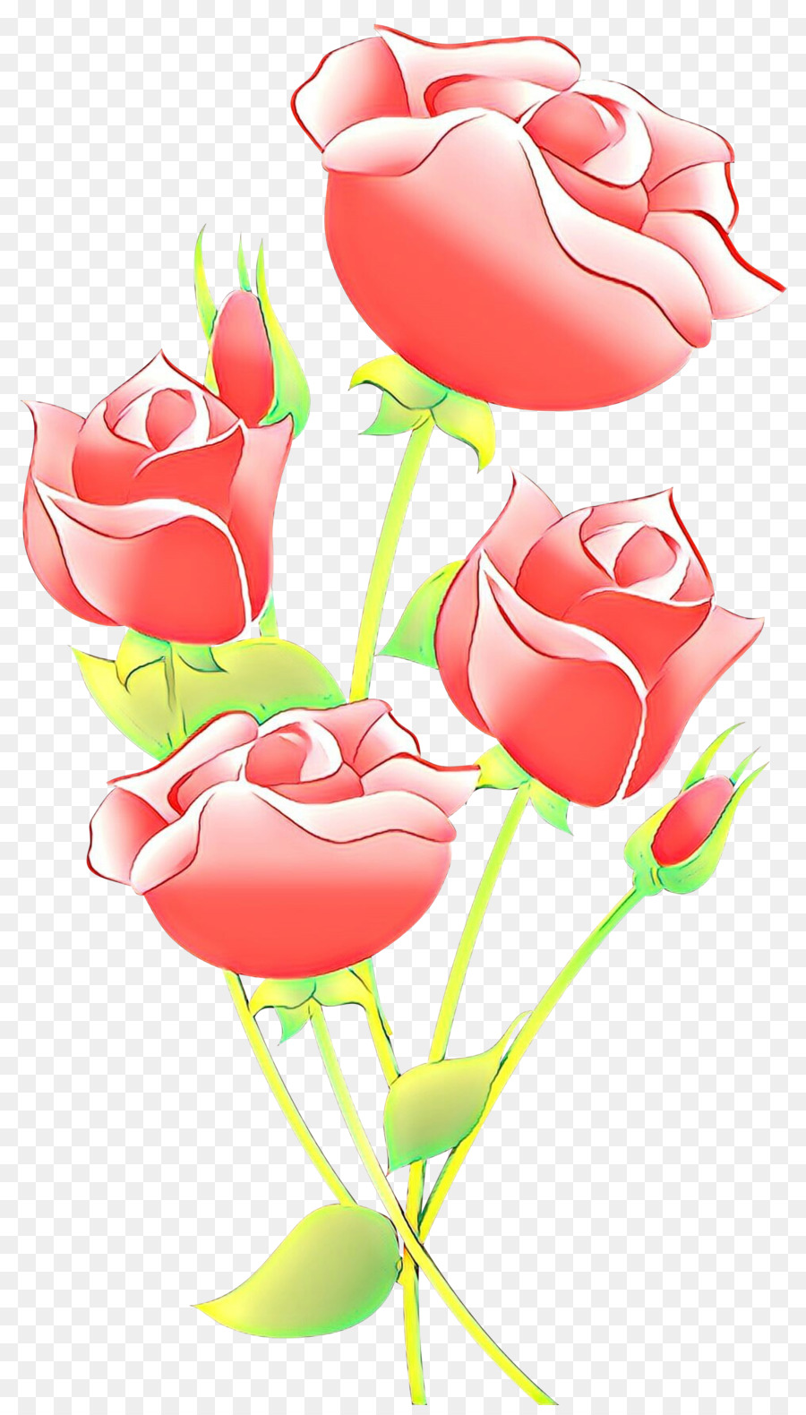 Rosas Cor De Rosa，Folhas PNG