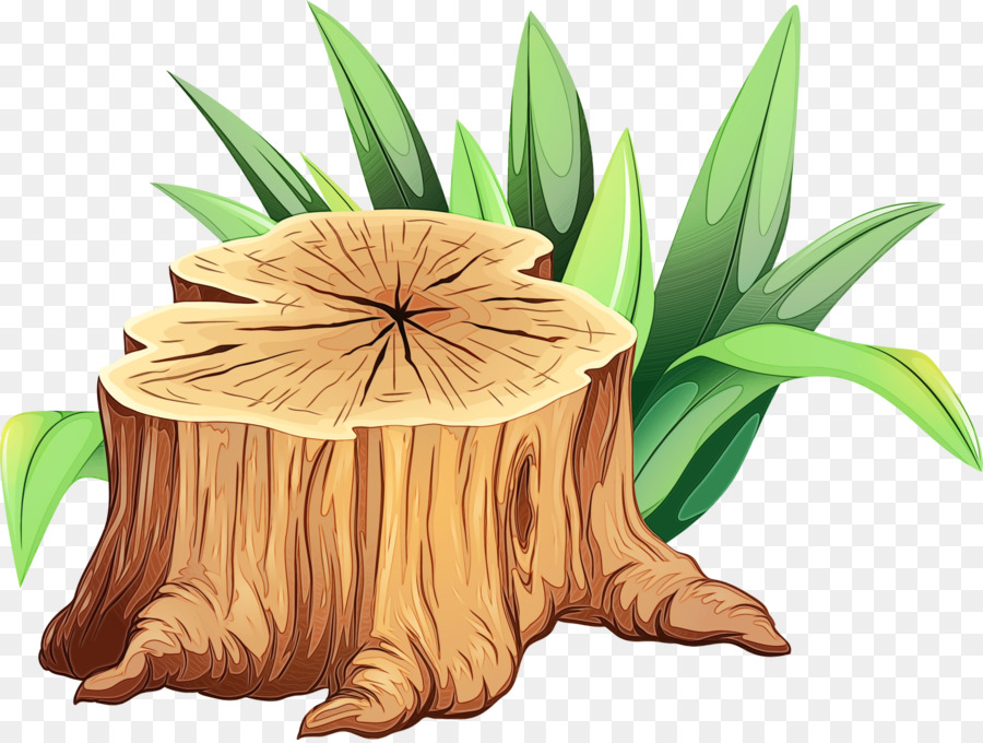 Plantar，Grama PNG