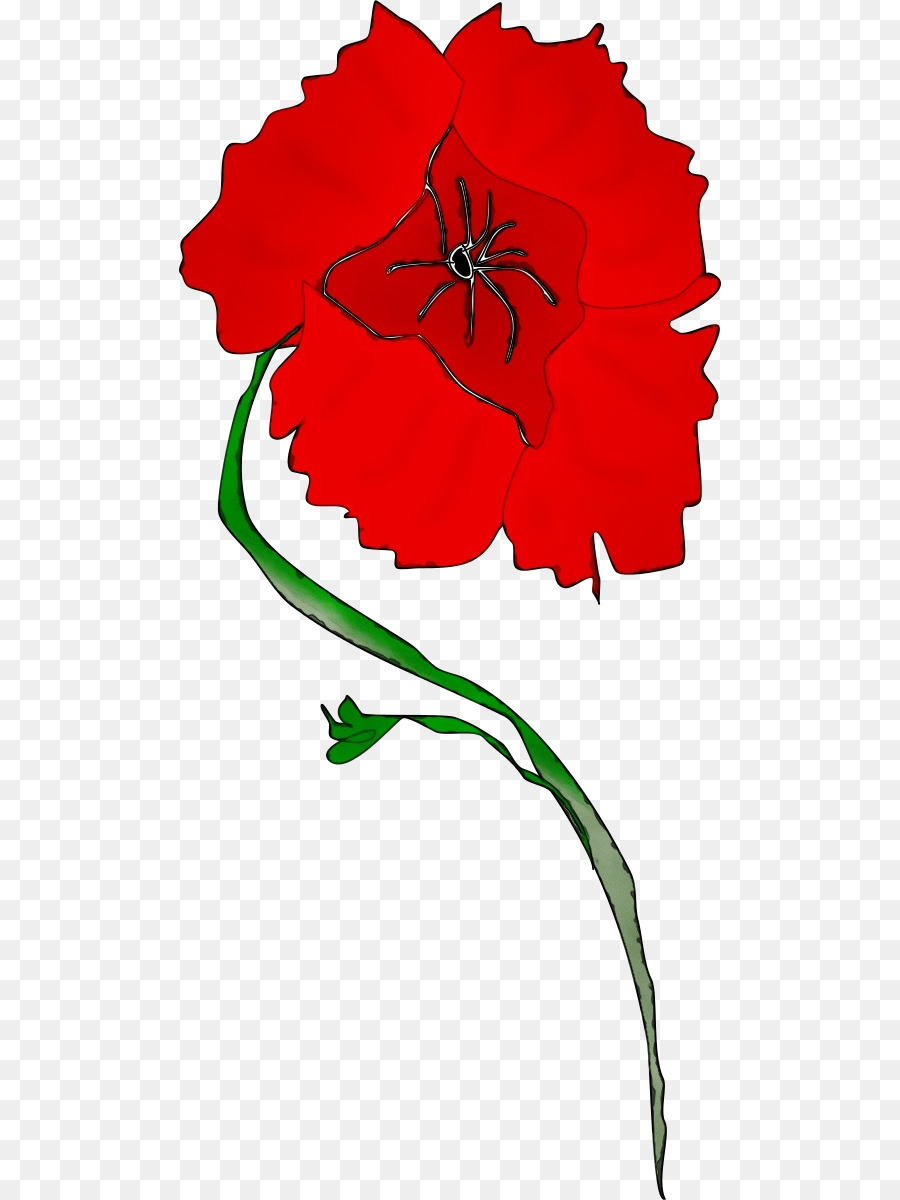 Vermelho，Flor PNG