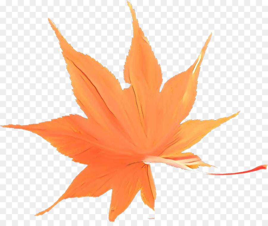 Laranja，Plantar PNG