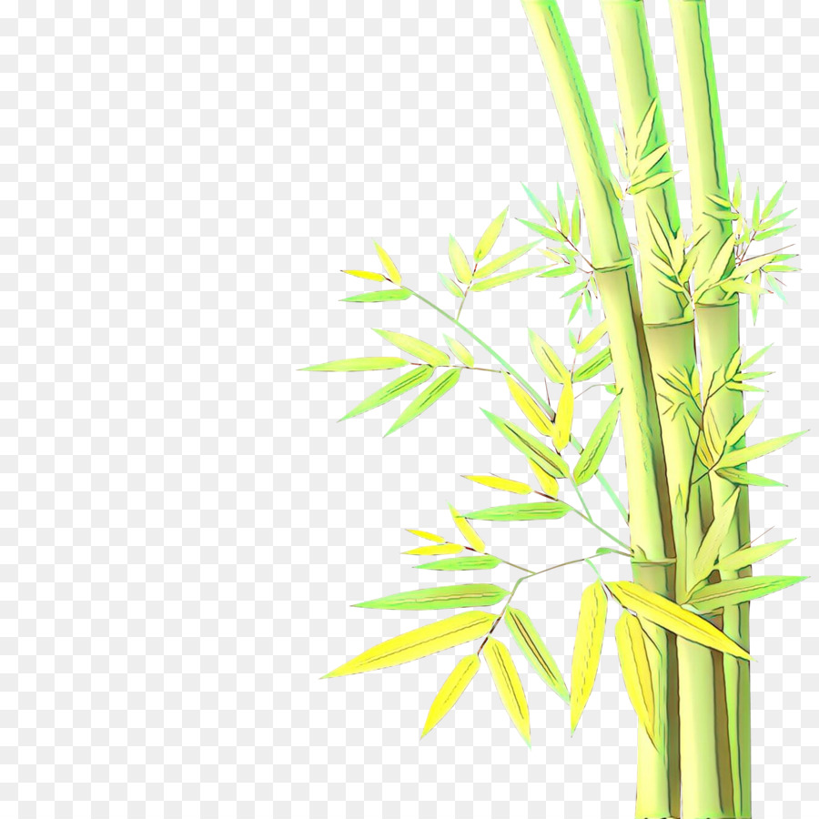 Verde，Planta PNG