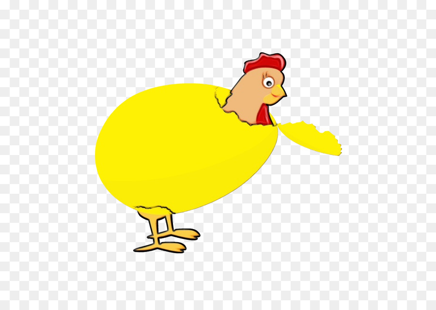 Frango，Pássaro PNG