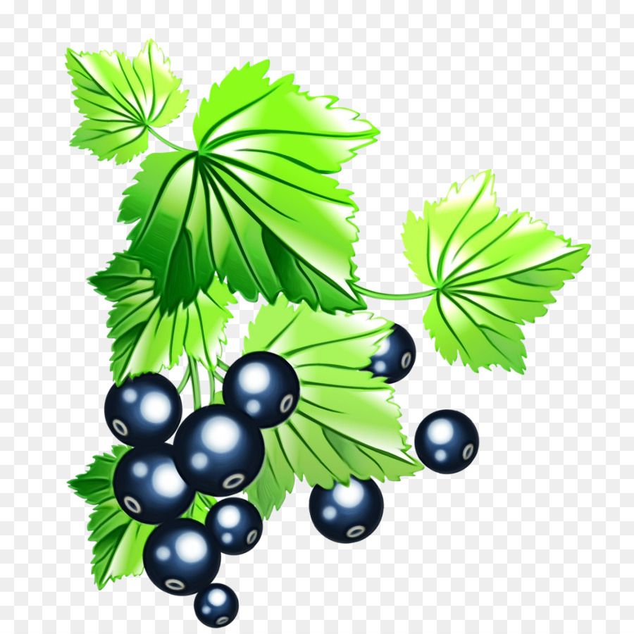 Folha，Berry PNG