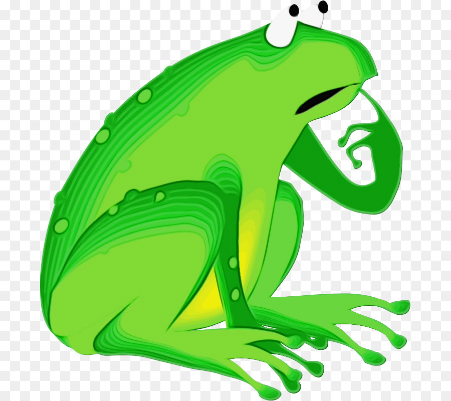 Verde，Hyla PNG