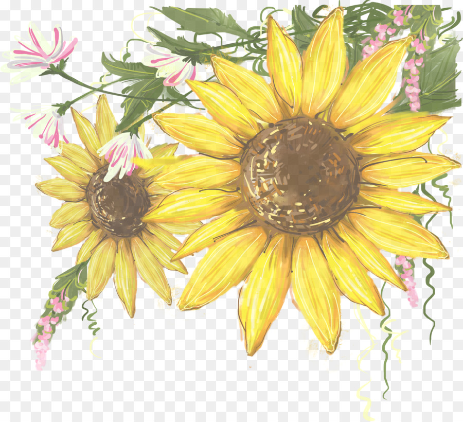 Flor，Girassol PNG