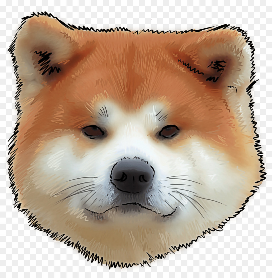 Cachorro，Shiba Inu PNG