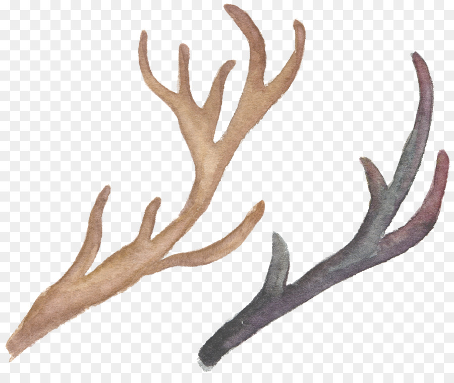 Antler，Corno PNG