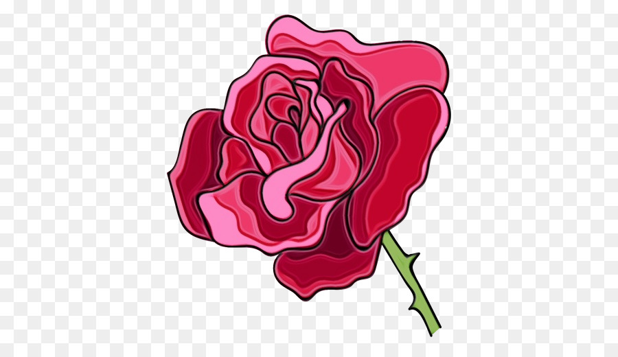 Rosas，Florescer PNG