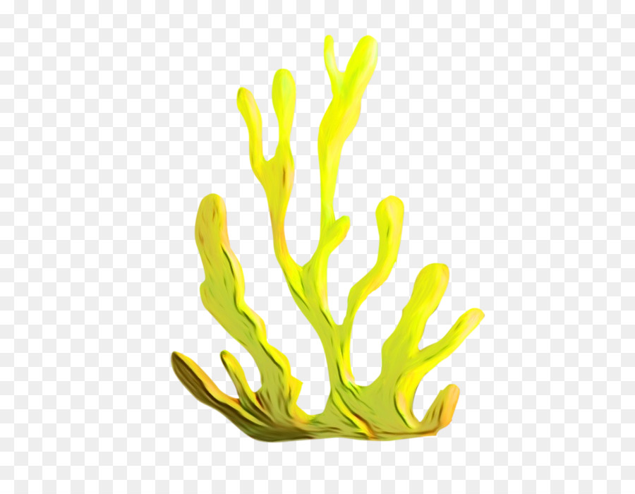 Aquário Decoração，Amarelo PNG