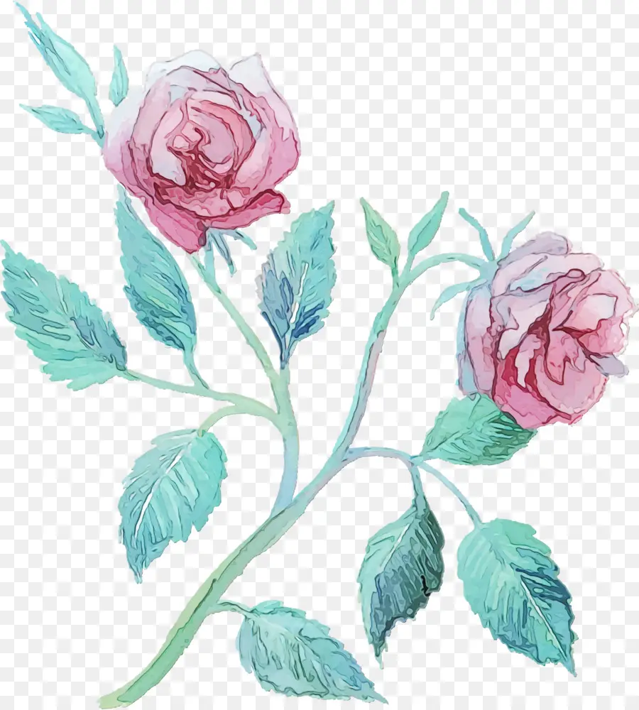 Flor，Rosas Do Jardim PNG