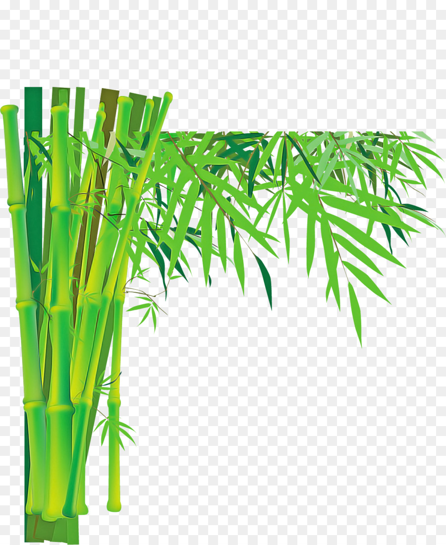 Verde，Bambu PNG
