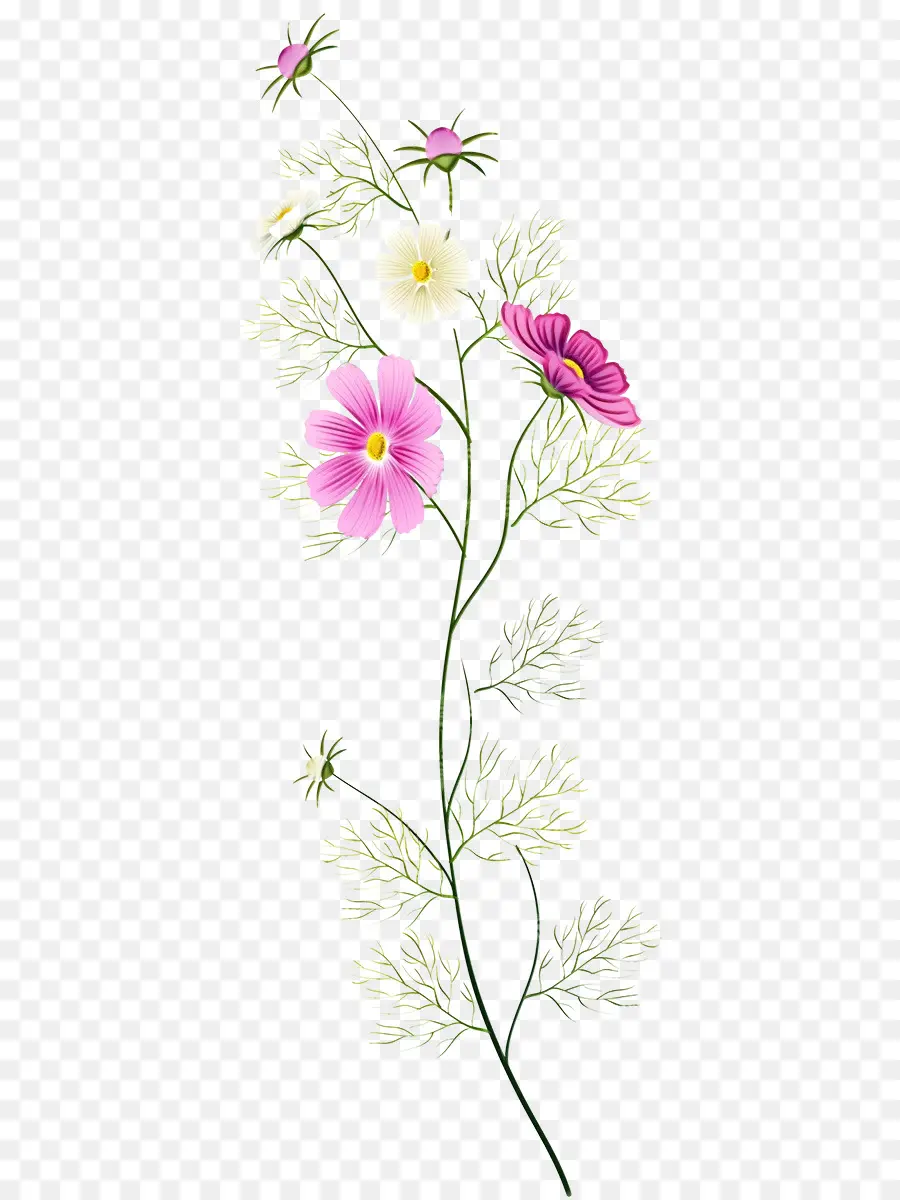 Flor，A Floração Da Planta PNG