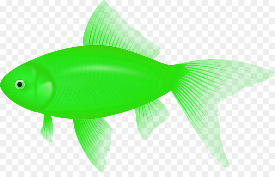 Verde，Peixe PNG