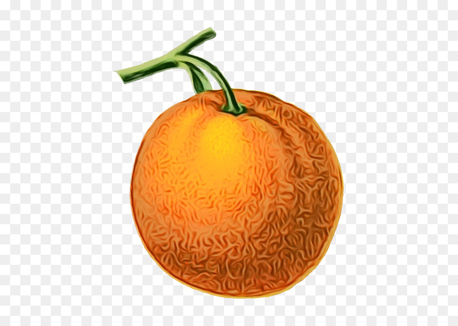 Laranja，Fruta PNG