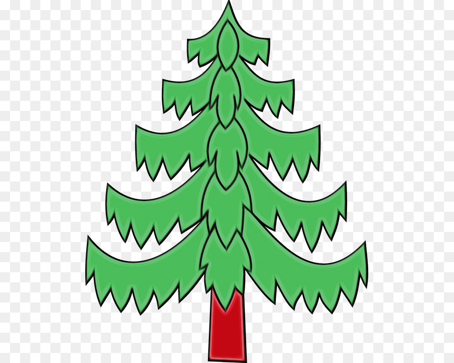 Colorado Spruce，Oregon Pine PNG