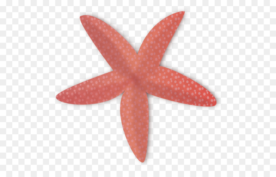 Estrela Do Mar，Vermelho PNG