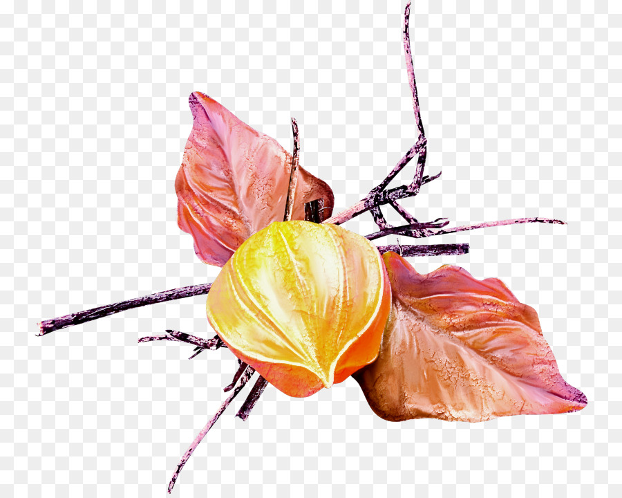 Flor，Folha PNG