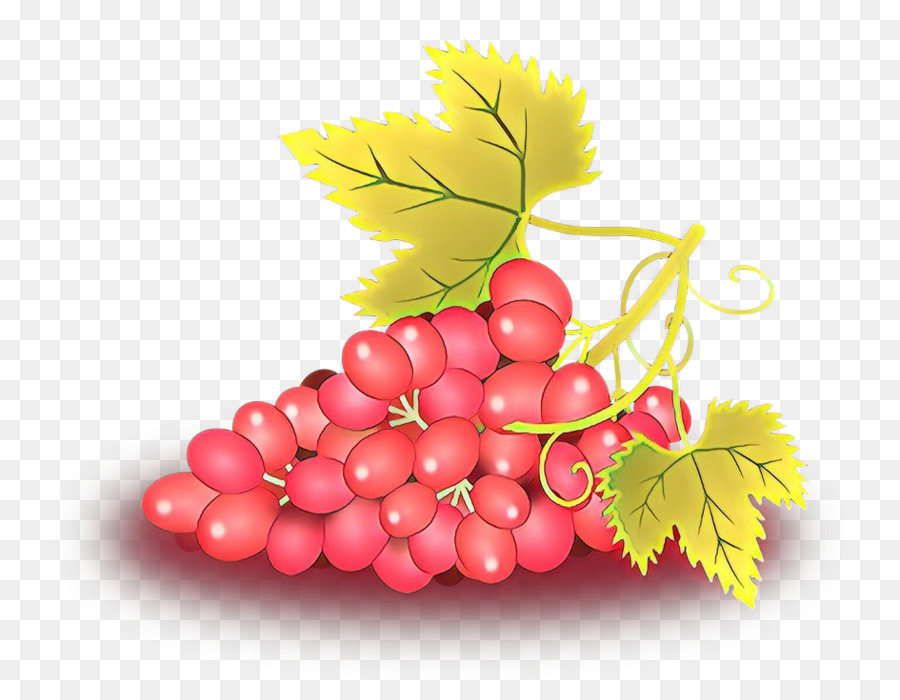 Uvas，Videira PNG