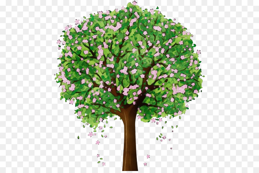 árvore，Plantar PNG