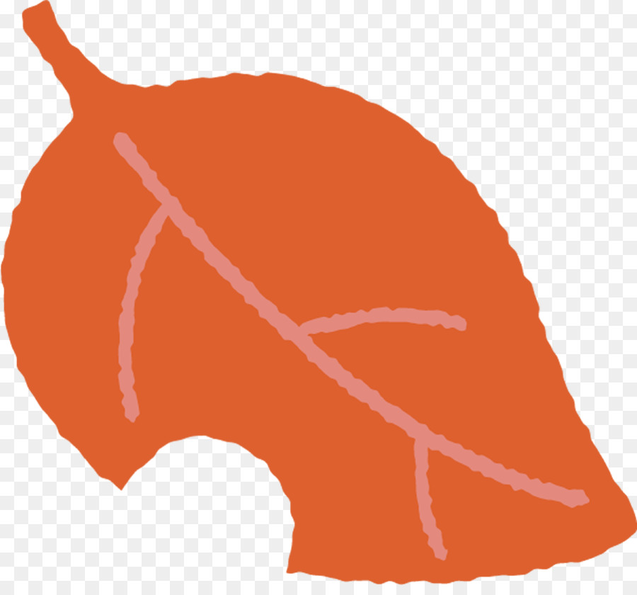 Laranja，Folha PNG