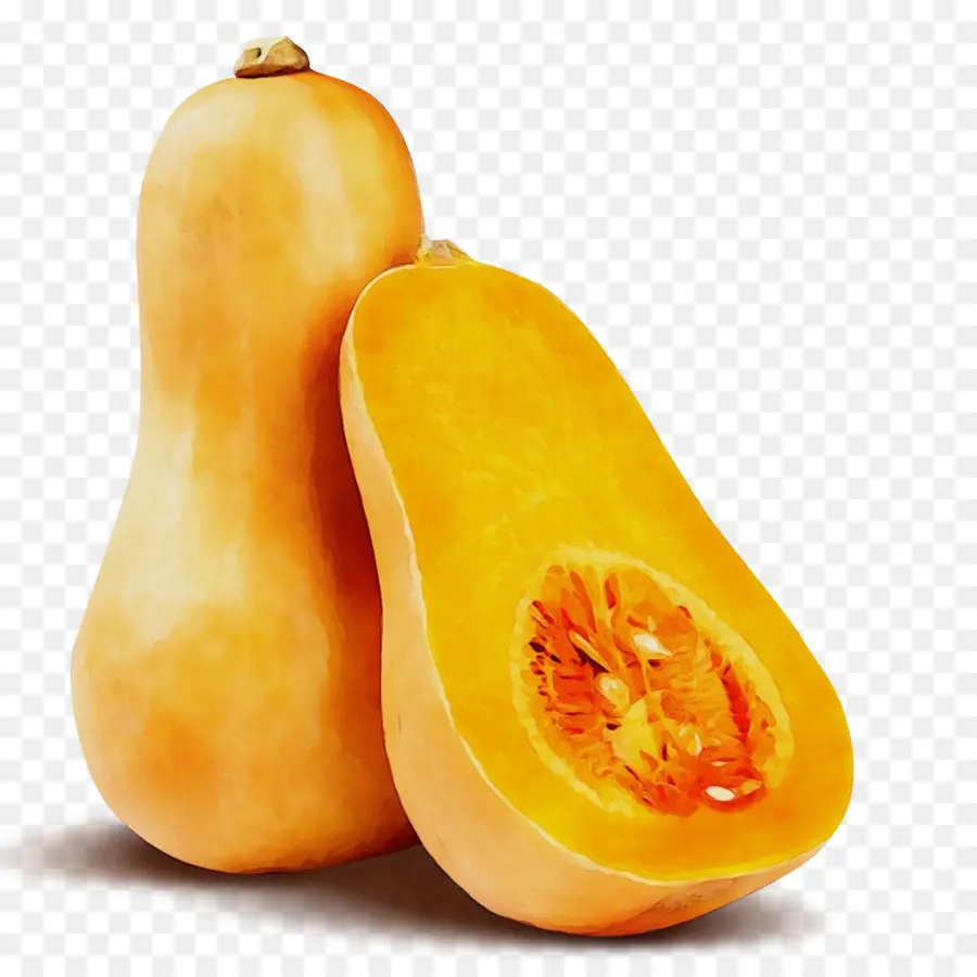 Butternut Squash，Squash PNG