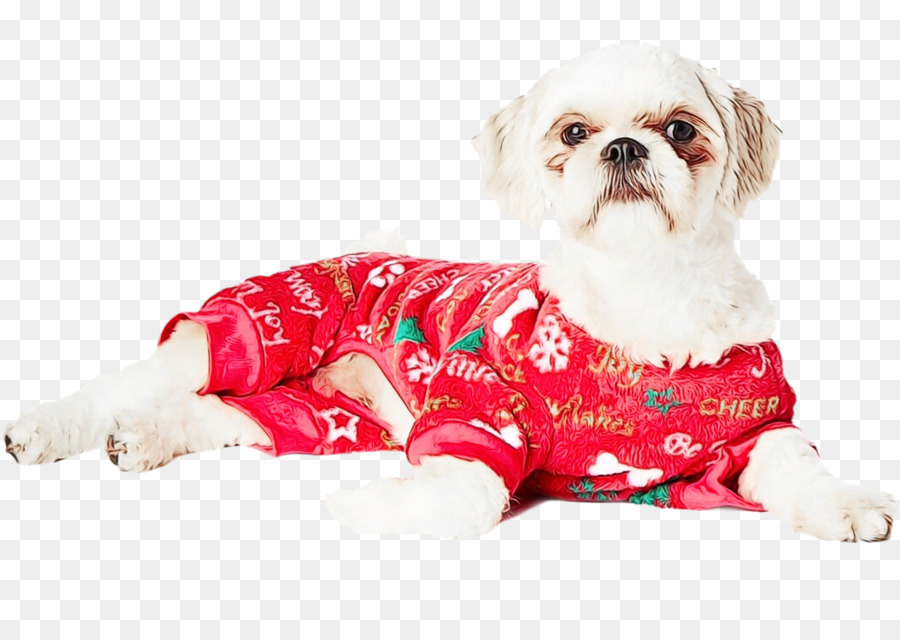 Cão De Roupas，Cachorro PNG