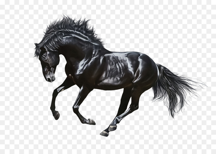 Cavalo，Animal Figura PNG