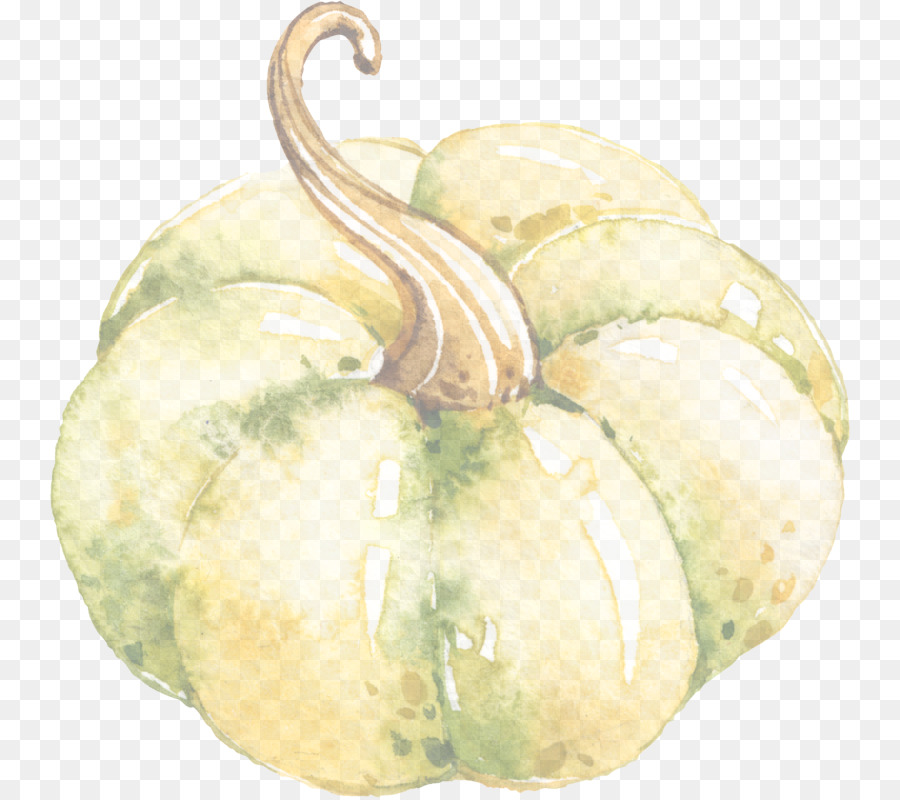 Vegetal，Plantar PNG