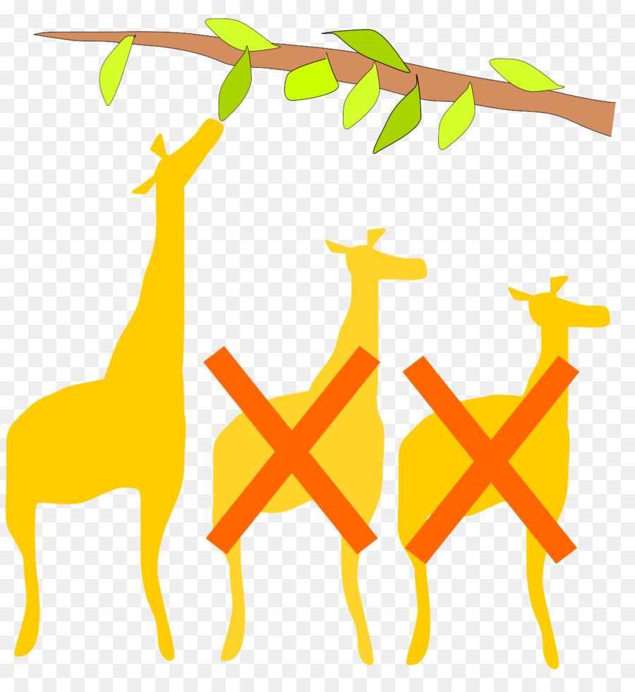 Girafa，Giraffidae PNG