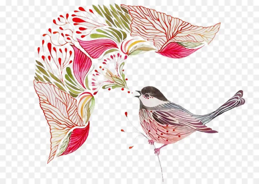 Pássaro，Beija Flor PNG