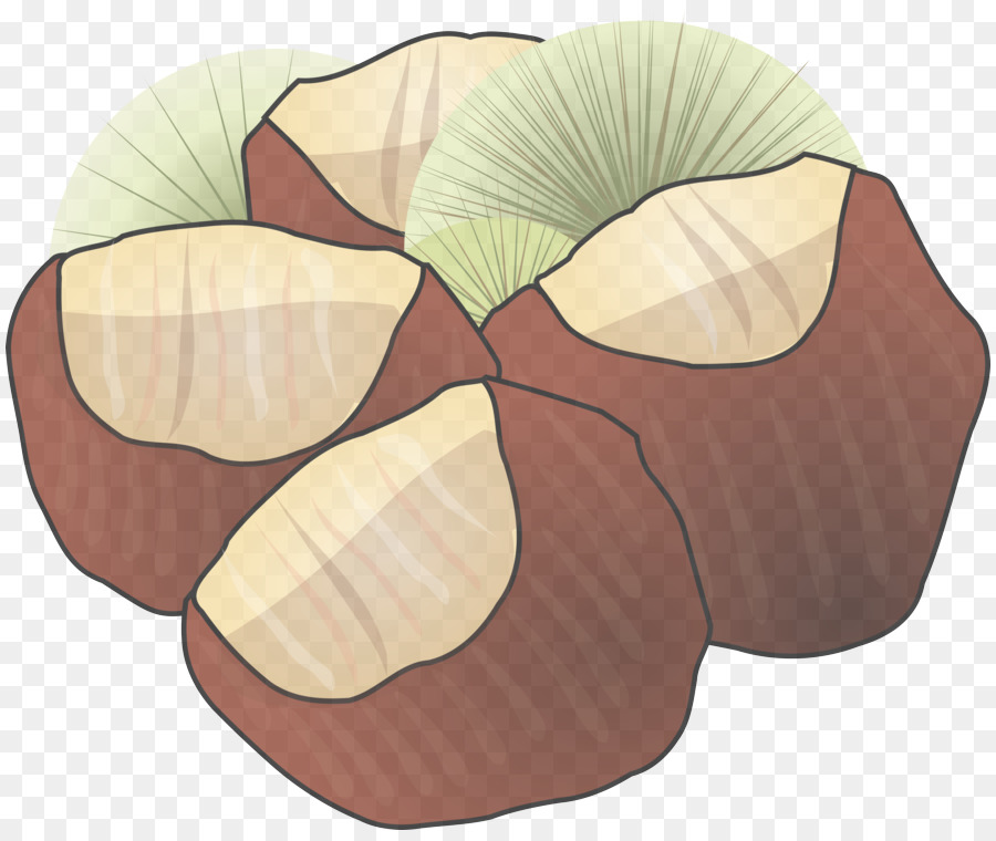 Folha，Planta PNG