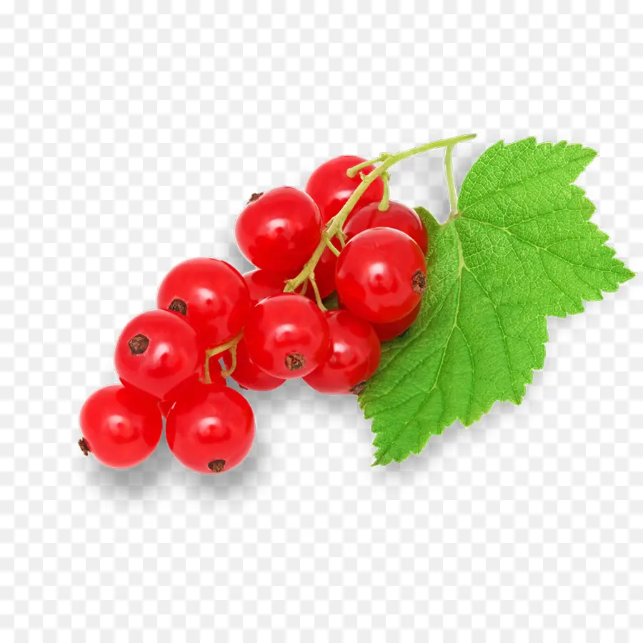 Berry，Eles Correm PNG