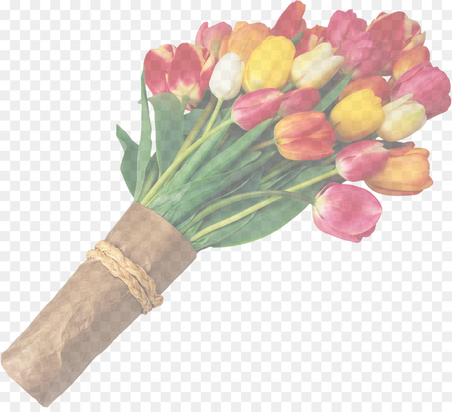 Tulip，Flor PNG