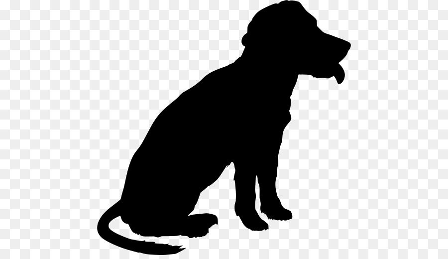 Cachorro，Raça Do Cão PNG