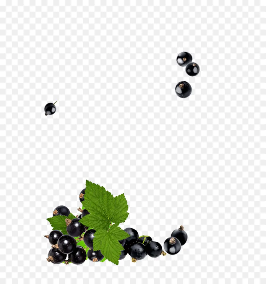 Berry，Planta PNG