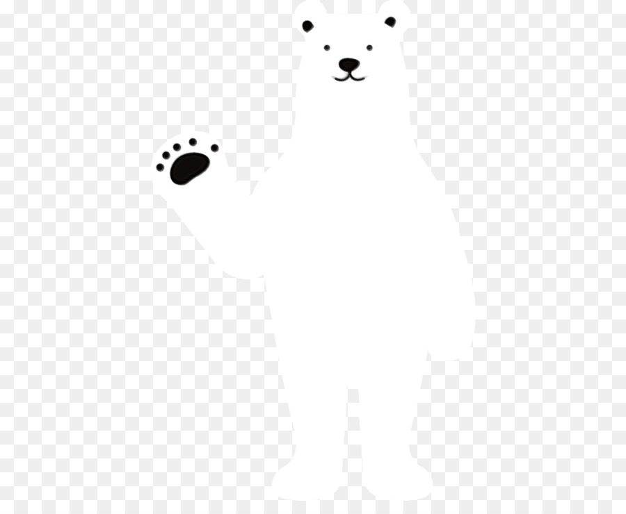 Branco，Urso PNG