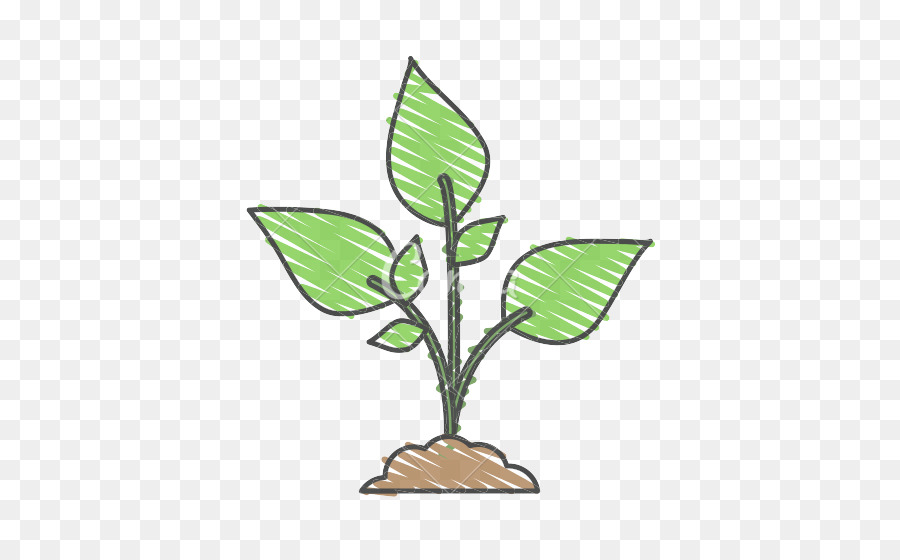 Plantar，Folhas PNG