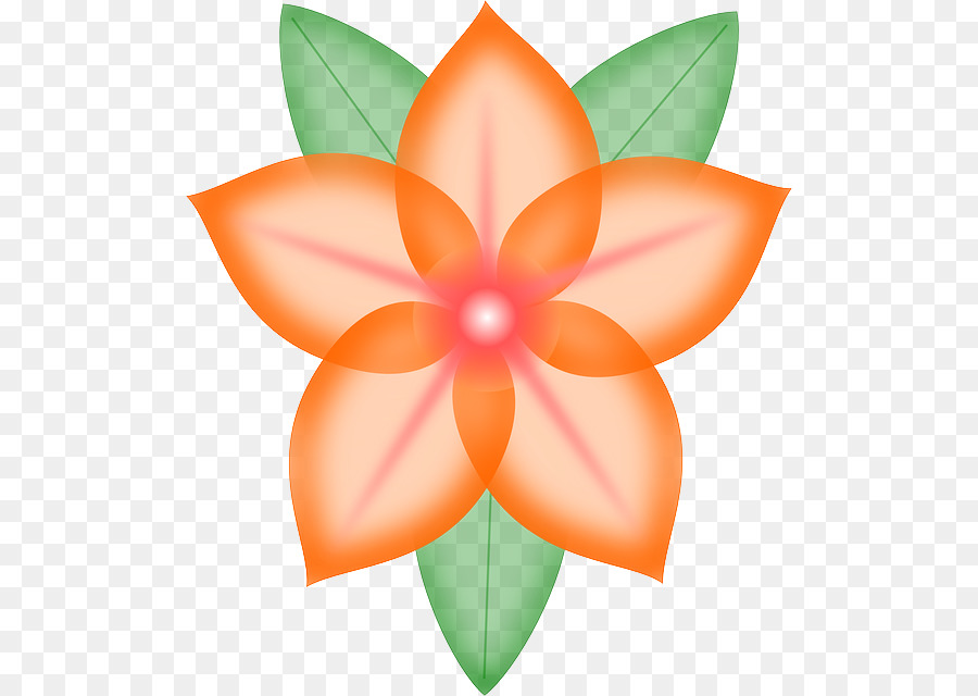 Flor Laranjeira，Florescer PNG