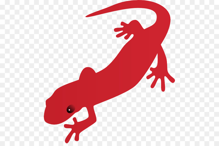 Gecko，Verdadeiro Salamandras E Tritões PNG
