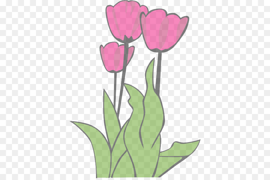 Tulipa，Flor PNG