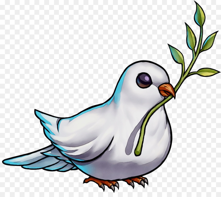 Aves，Bico PNG