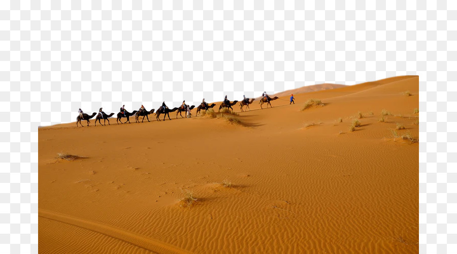 Deserto，Areia PNG