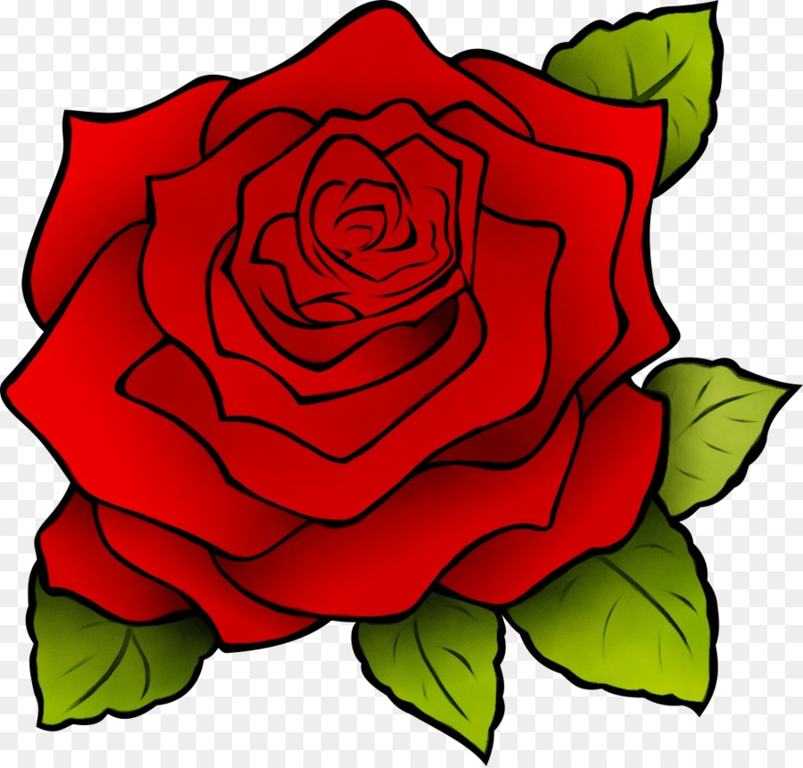 Rosas，Florescer PNG