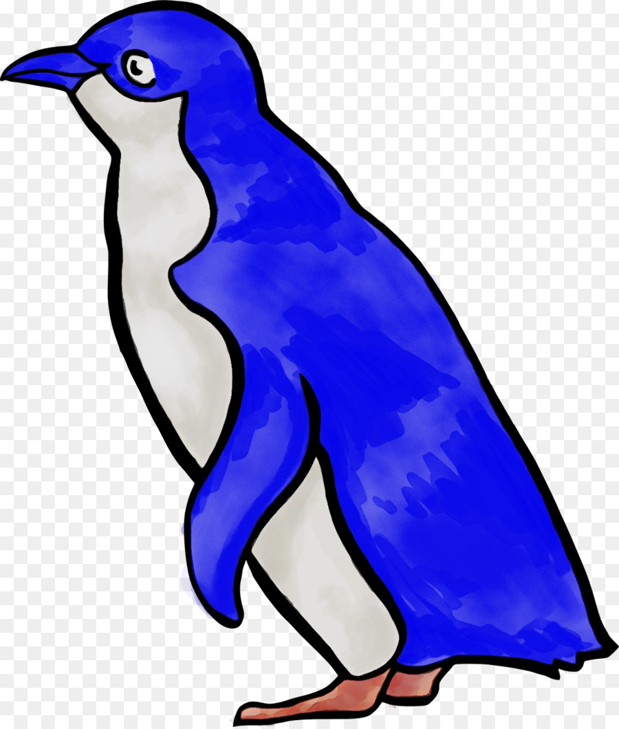 Aves，Ave PNG