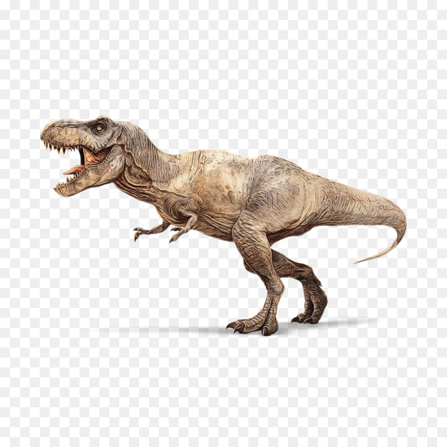 Dinossauro，Tiranossauro PNG