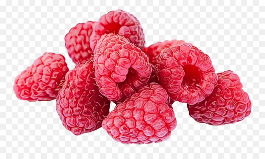 Framboesa，Berry PNG